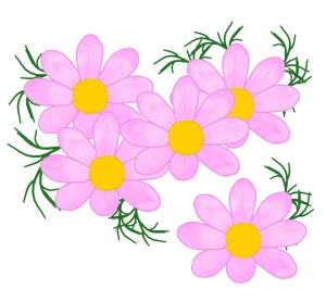 コスモスの花のイラスト