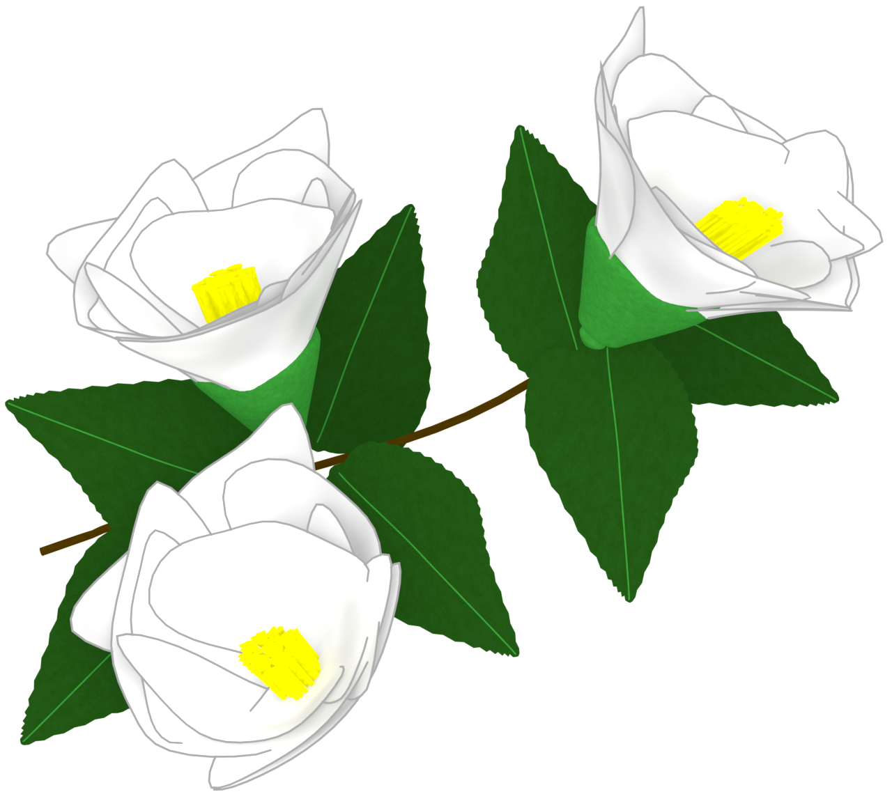 かわいい椿のイラスト