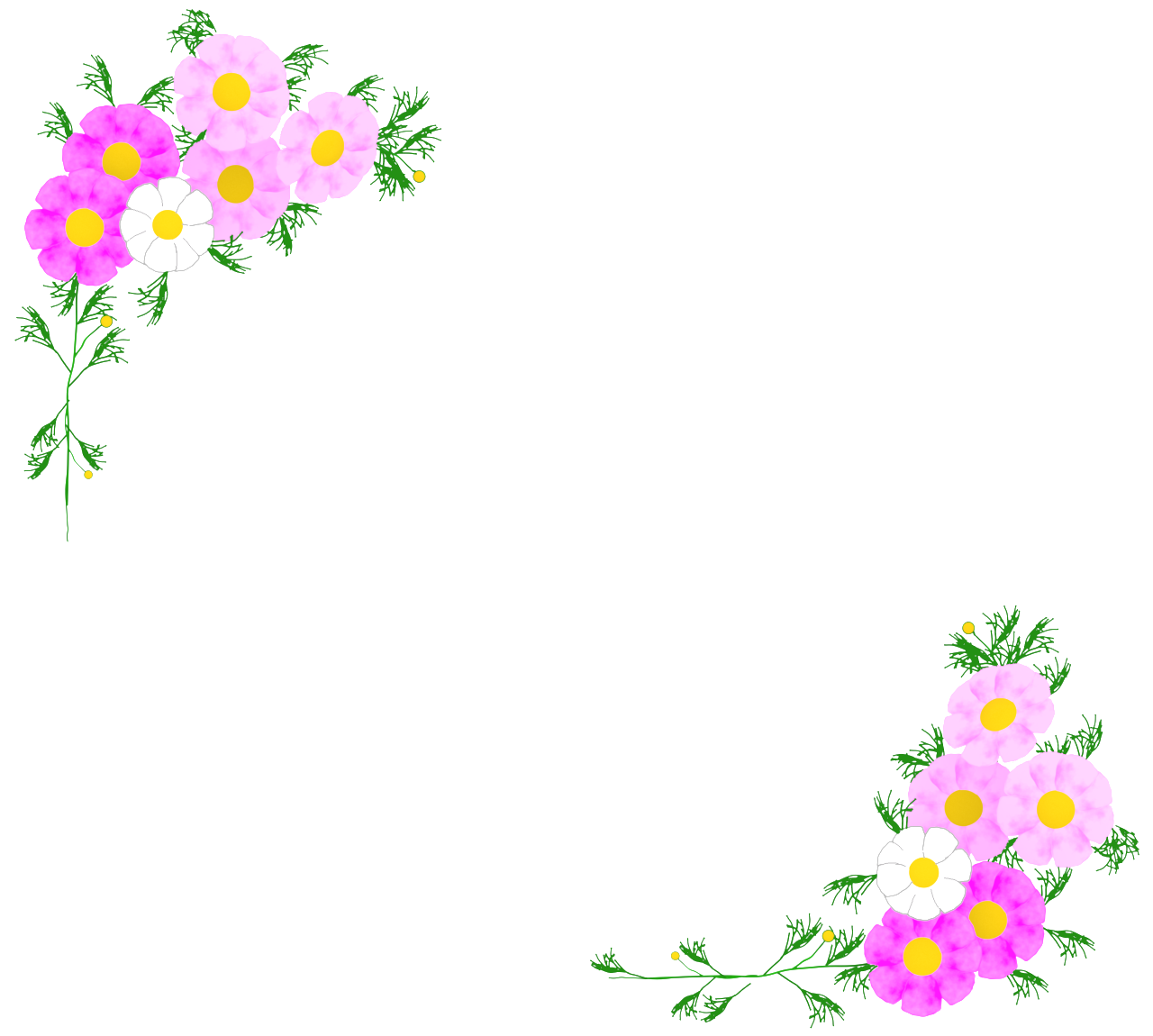 かわいいコスモスのフレーム