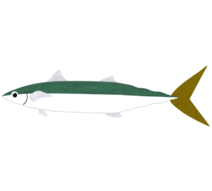 かわいい魚のイラスト