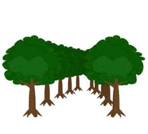 かわいい欅の森のイラスト