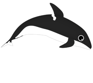 かわいいシャチのイラスト