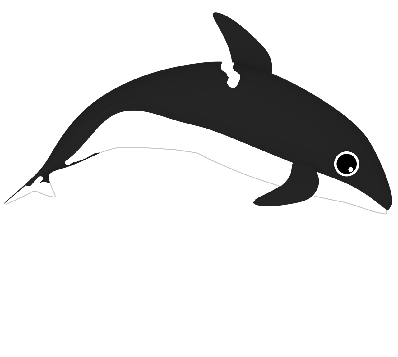かわいいシャチのイラスト
