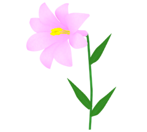 かわいいゆりの花のイラスト