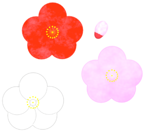 かわいい梅の花と蕾のイラスト