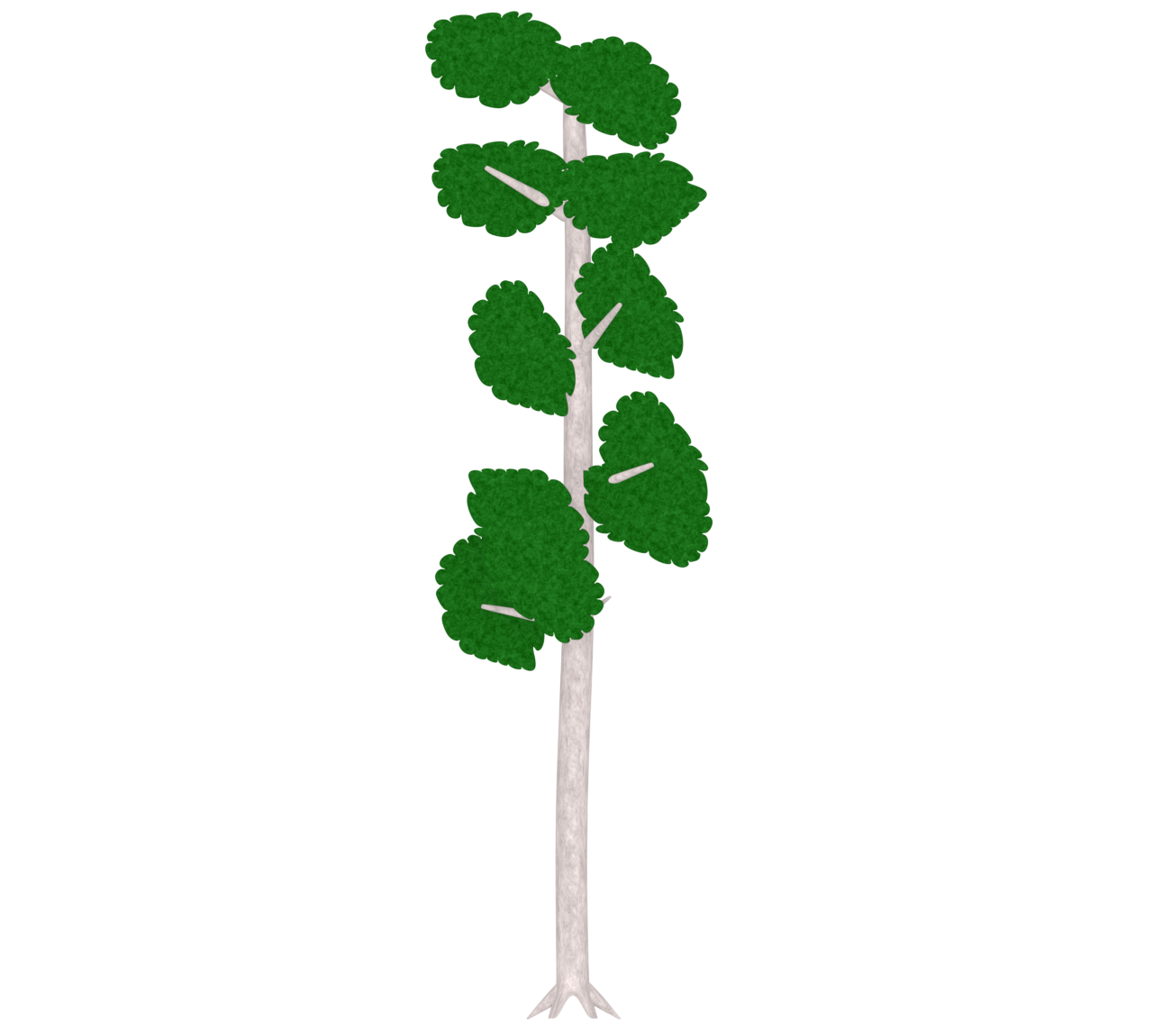 かわいい白樺の木のイラスト