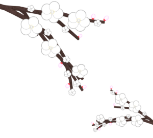 かわいい白梅の花のイラスト