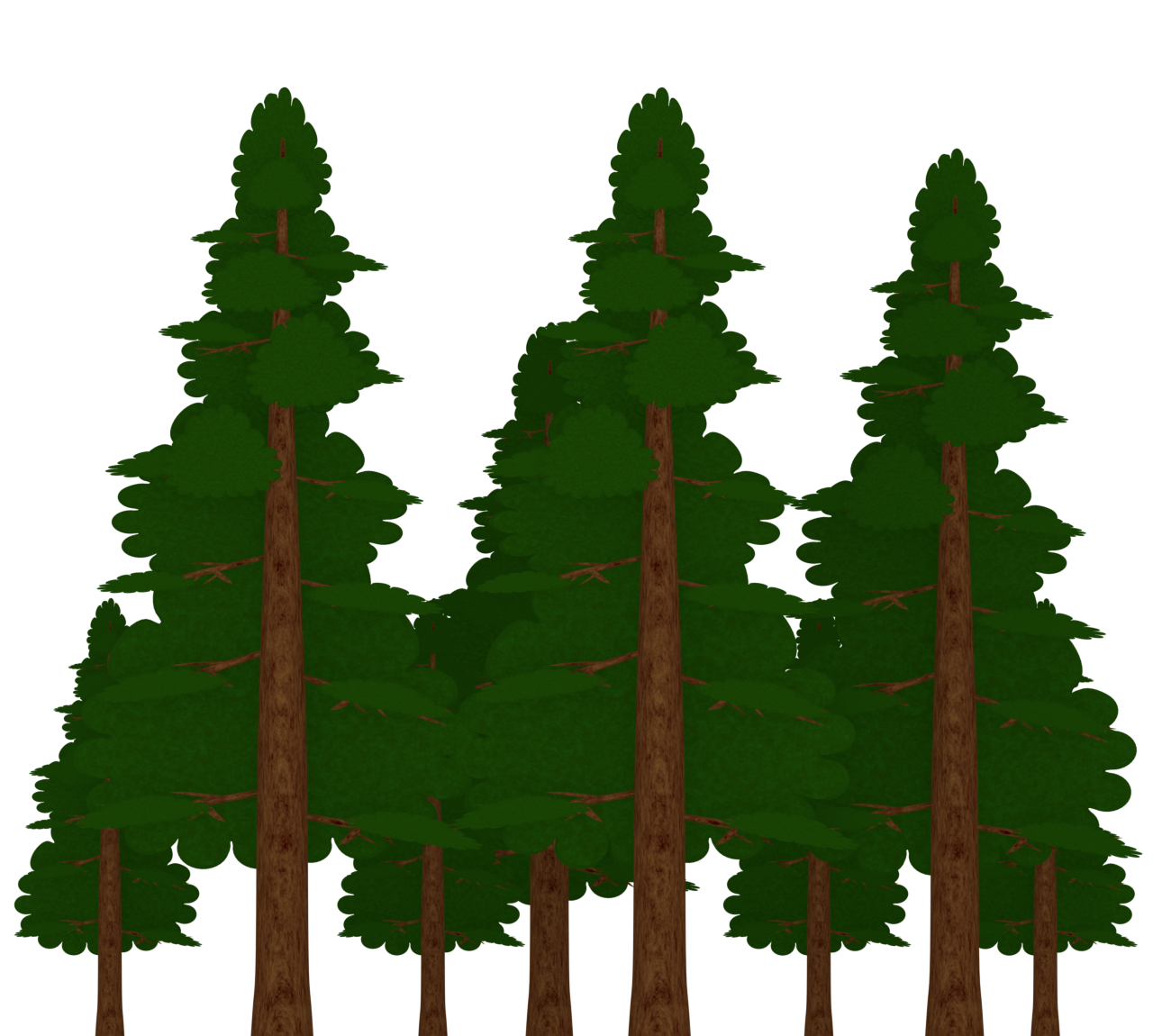 ヒノキの森のイラスト