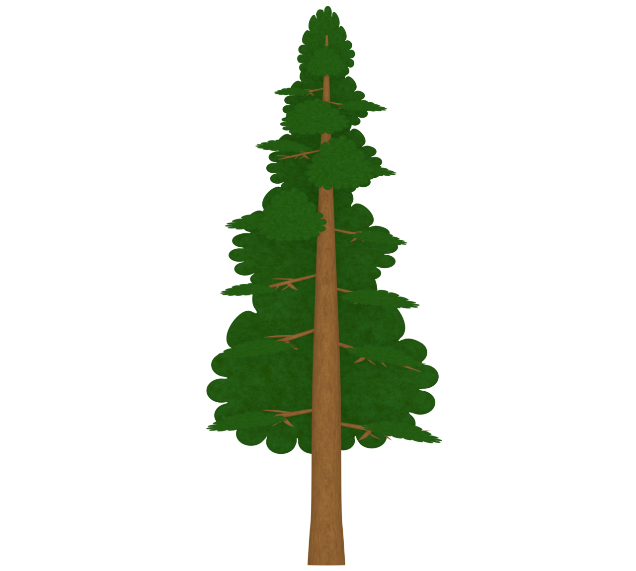 ヒノキの木のイラスト