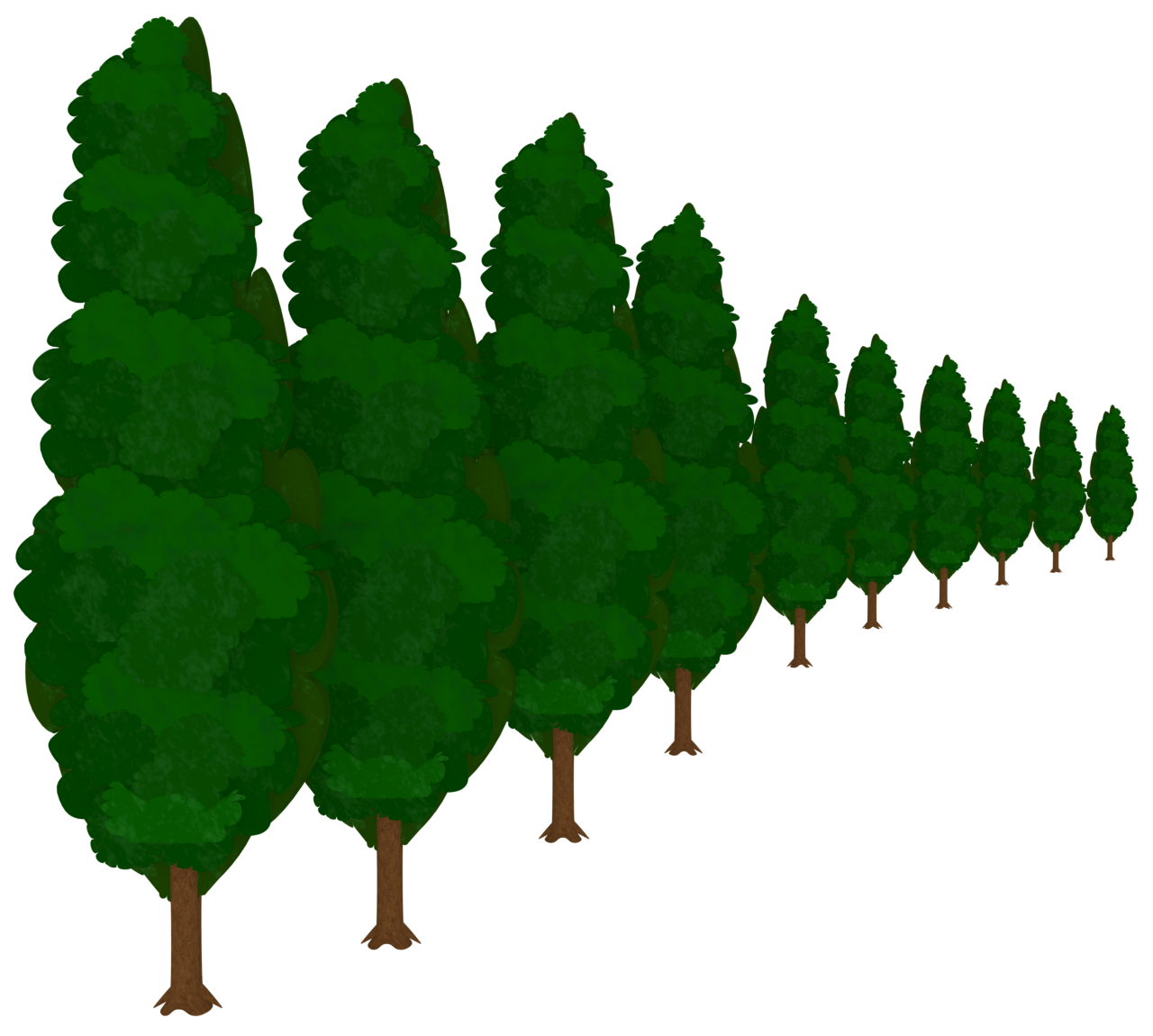 糸杉の並木道のイラスト