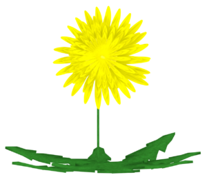 たんぽぽのイラスト
