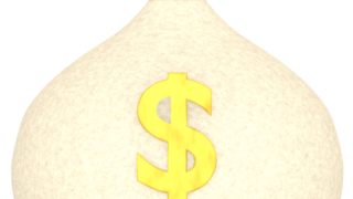 dollar bag img