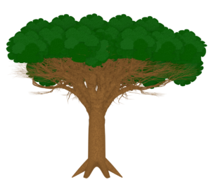 竜血樹のイラスト（リュウケツジュ）