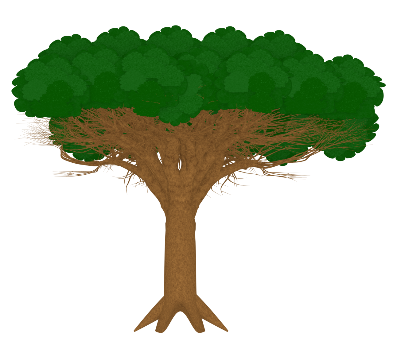 竜血樹のイラスト（リュウケツジュ）