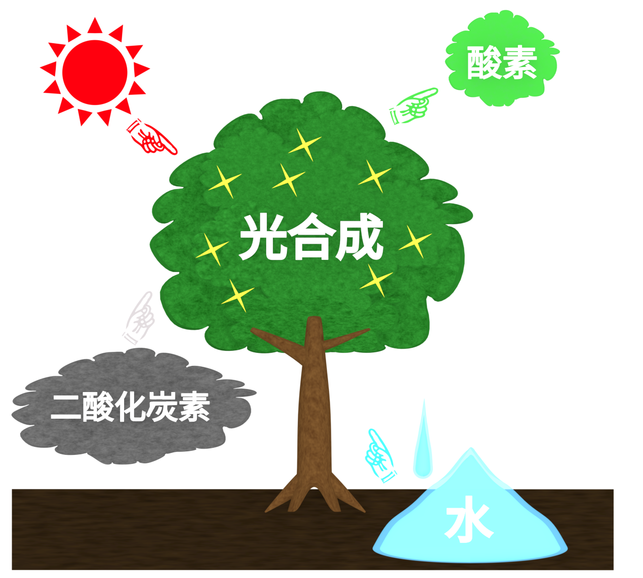 わかりやすい光合成のイラスト