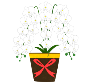 おしゃれな胡蝶蘭のイラスト