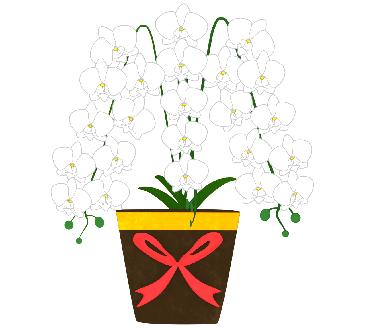 おしゃれな胡蝶蘭のイラスト