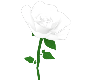 おしゃれな薔薇のイラスト