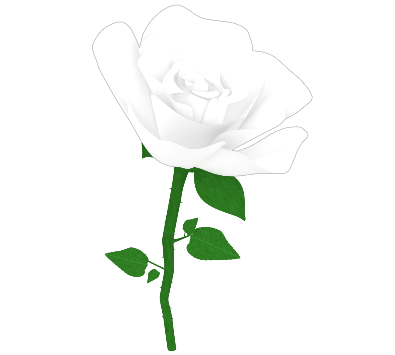おしゃれな薔薇のイラスト
