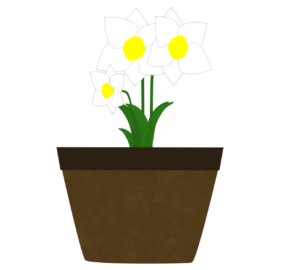 植木鉢で咲く水仙の花のイラスト