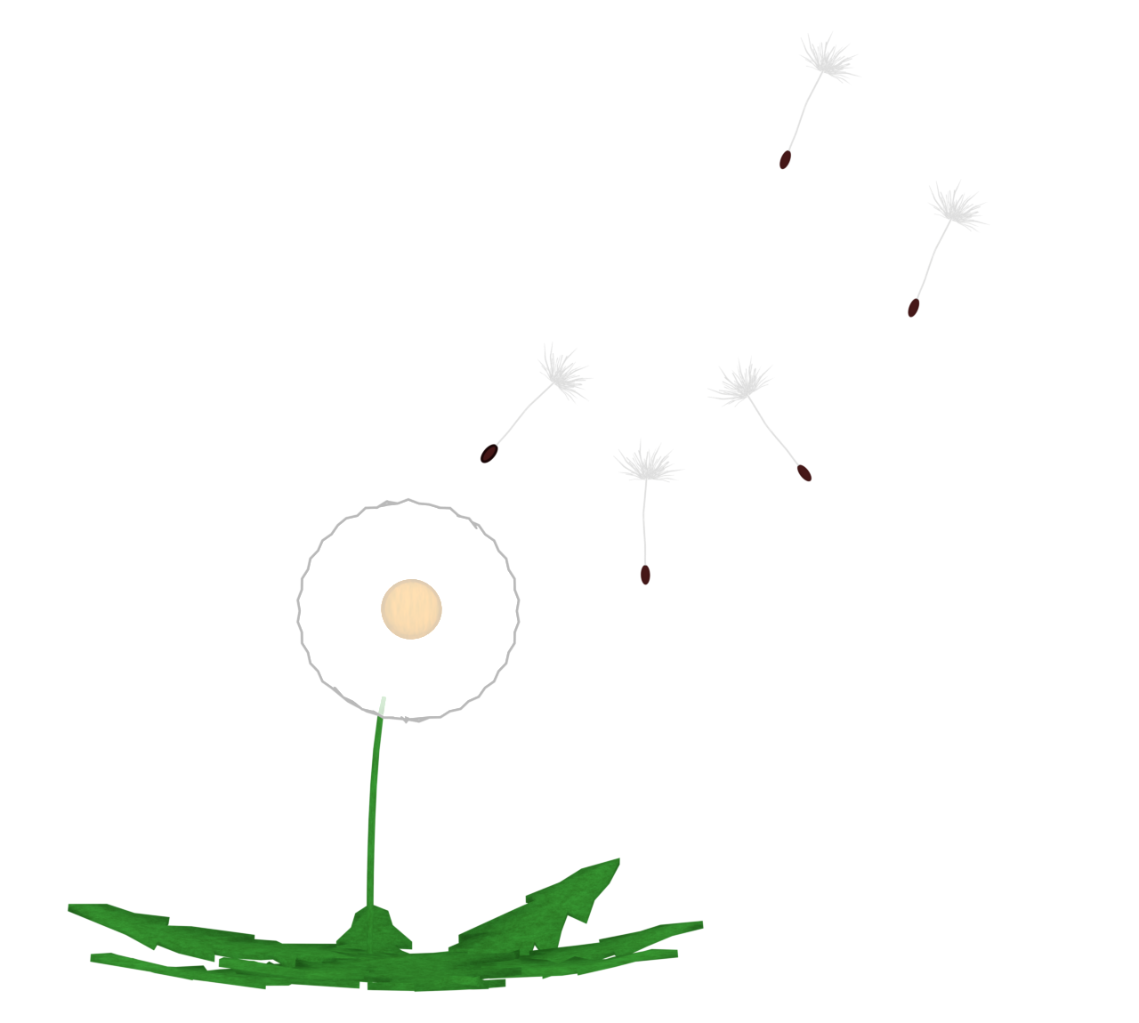 綿毛のたんぽぽと飛ぶ種のイラスト