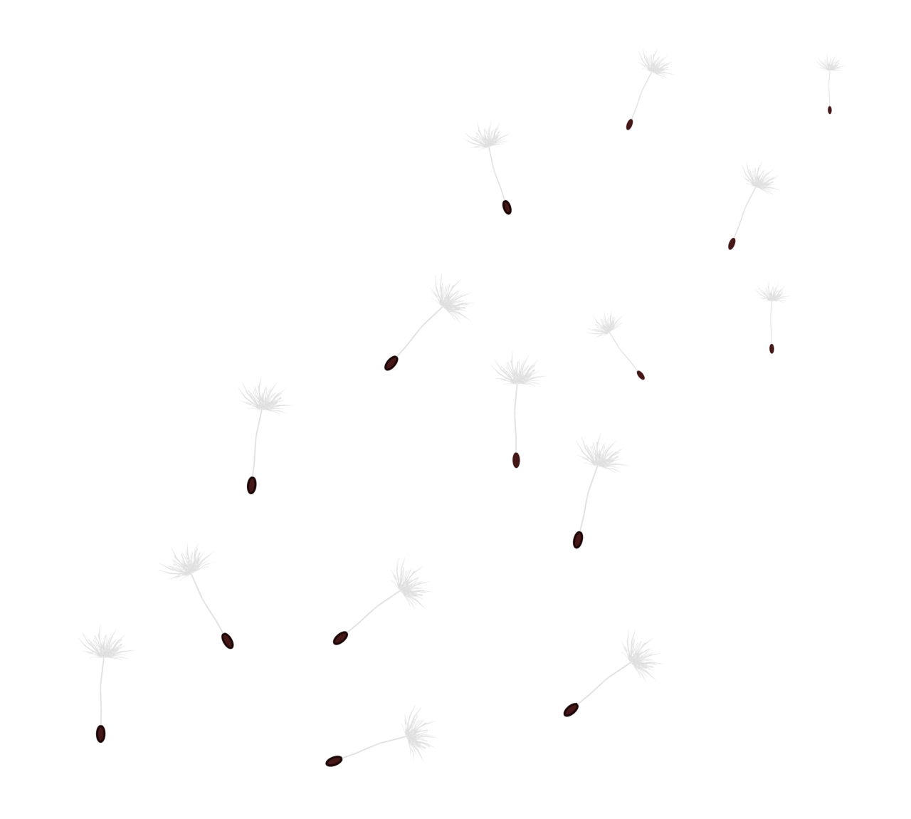 飛ぶたんぽぽの綿毛のイラスト