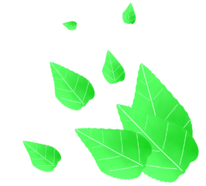新緑・青葉のイラスト