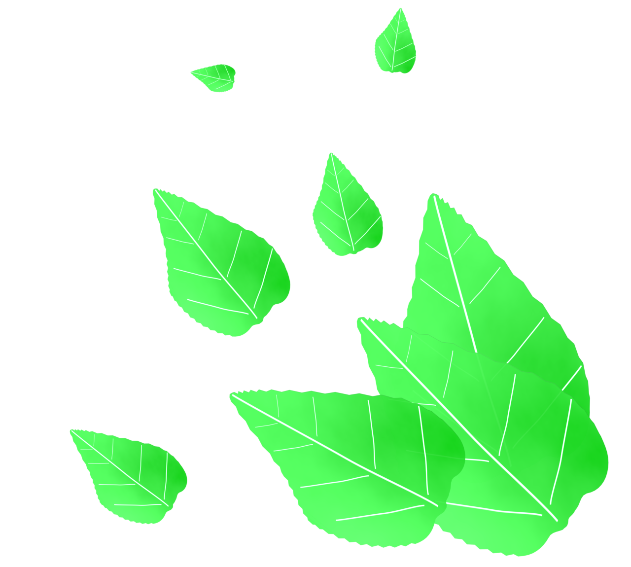 新緑・青葉のイラスト