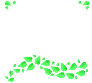 新緑の枠の素材（透過）