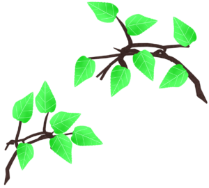 新緑の葉と枝のイラスト