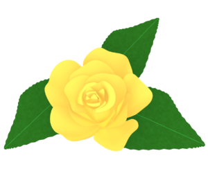 正面から見る黄色の薔薇のイラスト