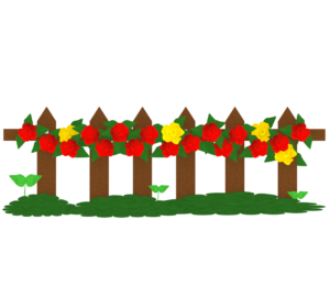 ガーデニングの薔薇のイラスト