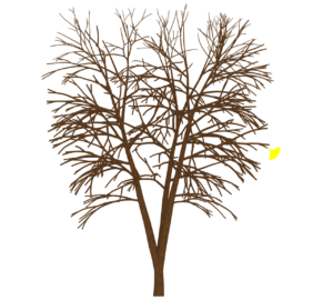 イチョウの枝に残る最後の葉っぱのイラスト