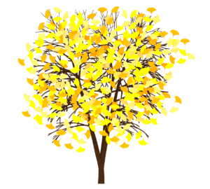 イチョウの木のイラスト