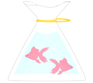 金魚袋のイラスト（透過）
