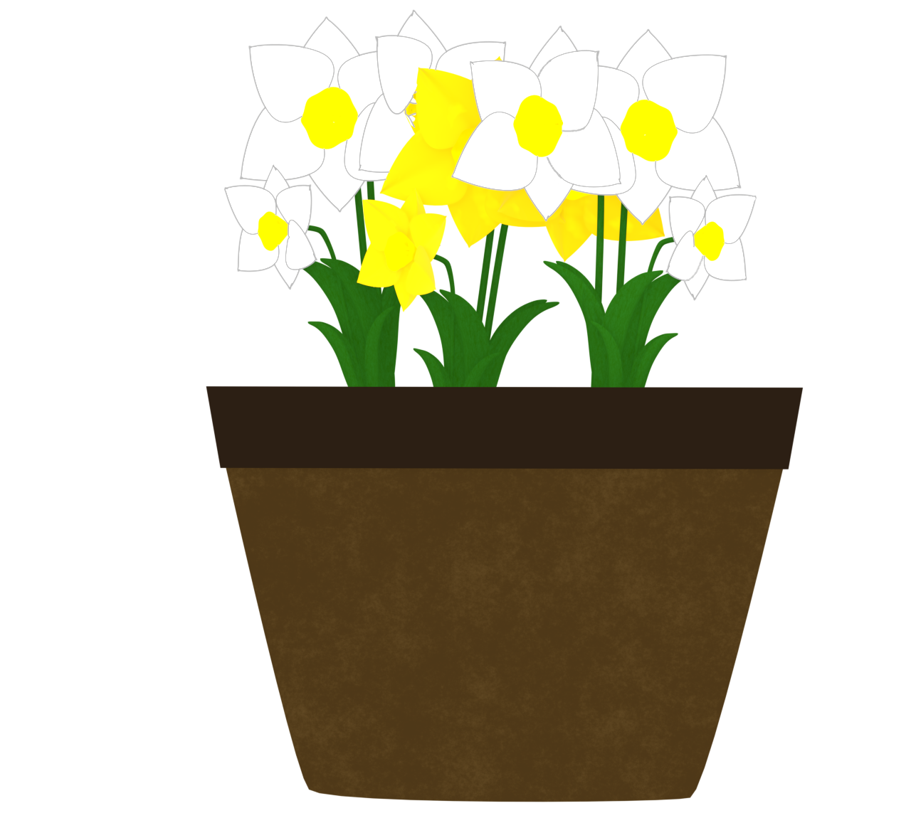 鉢で育てるスイセンのイラスト