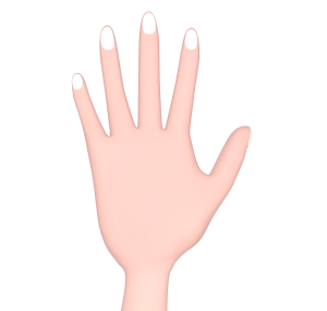 手の爪のイラスト