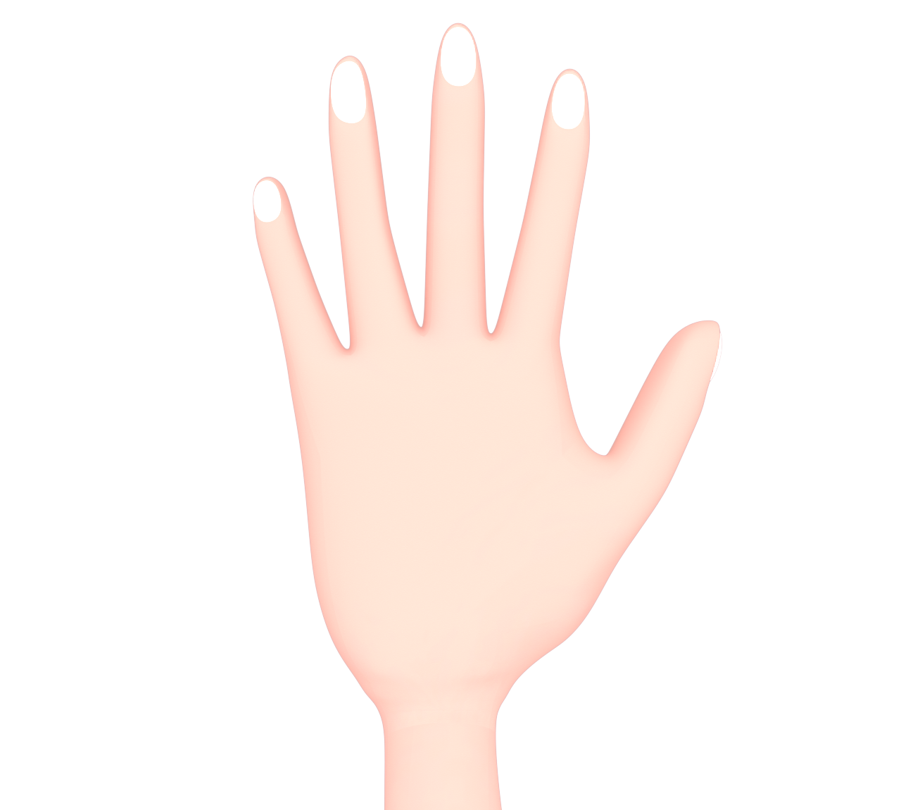 手の爪のイラスト