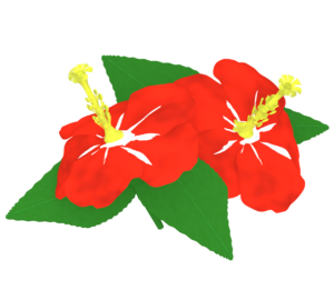 ハイビスカスのイラスト