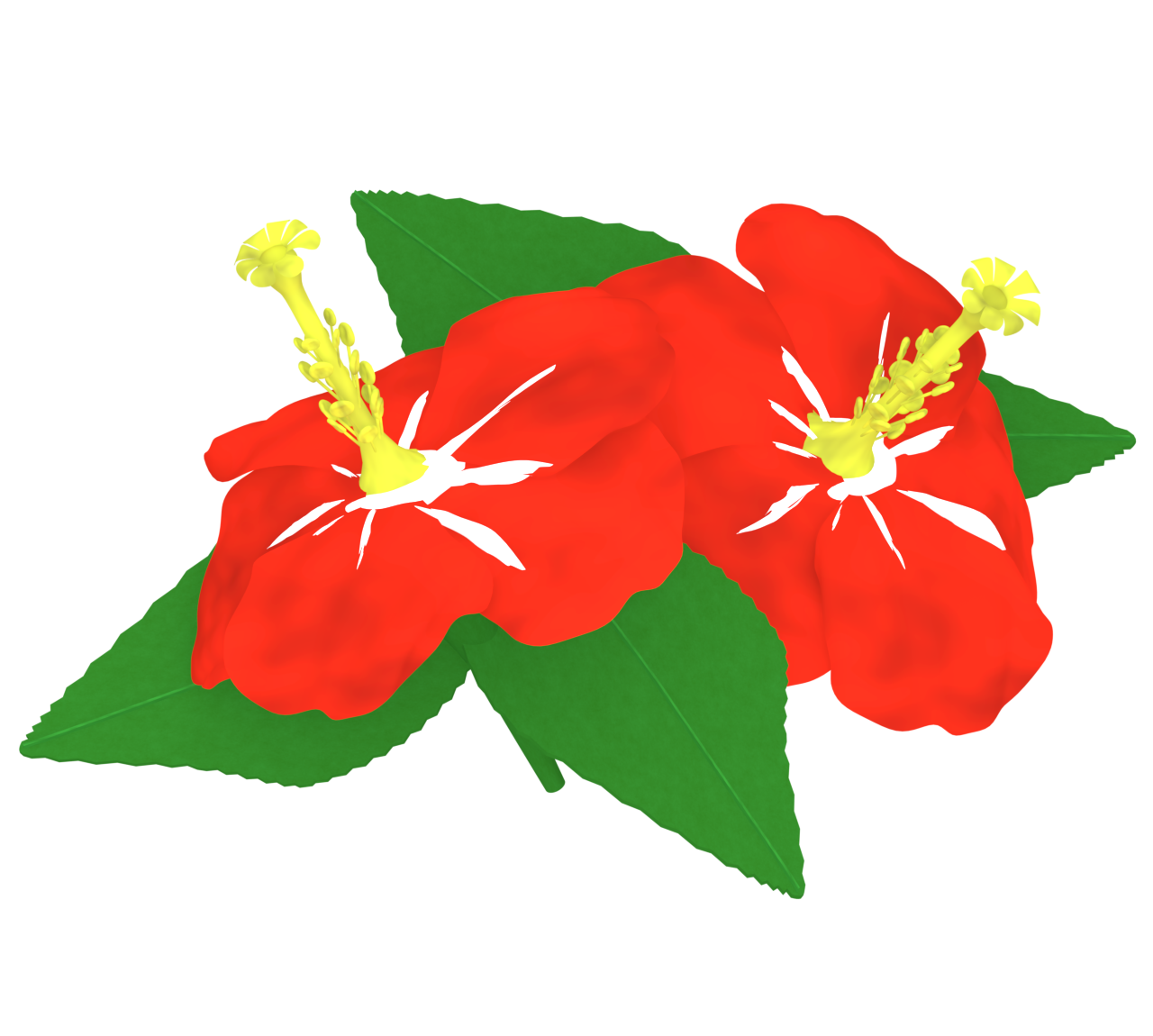 ハイビスカスのイラスト