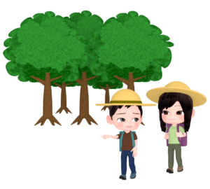 ハイキングをする男女のイラスト