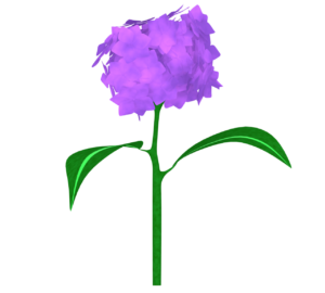 あじさいのイラスト