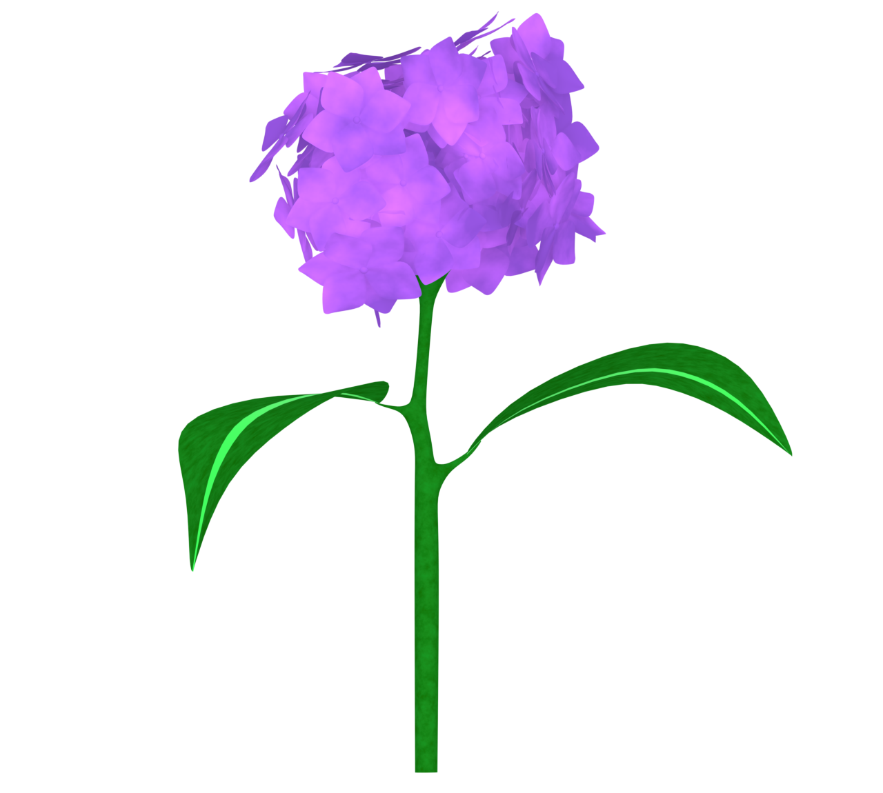 あじさいのイラスト