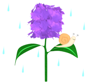 紫陽花とカタツムリのイラスト