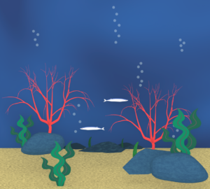 海の中のイラスト
