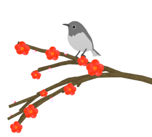 ウグイスと梅の花のイラスト
