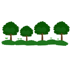 横に並ぶ欅の木のイラスト