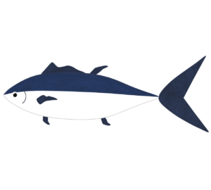 大型魚のイラスト