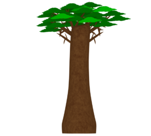 大木のバオバブのイラスト