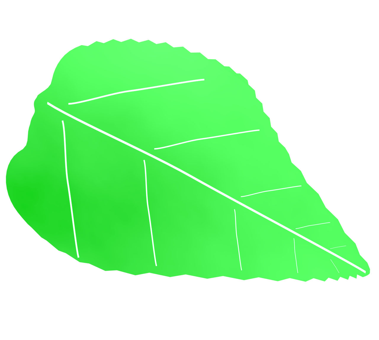 葉っぱの新緑のイラスト